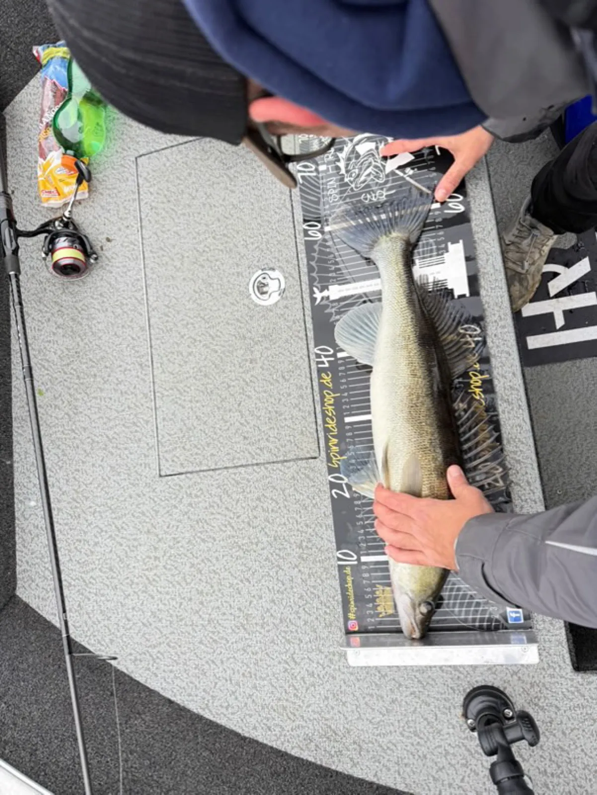 Zander mit 63 cm auf dem Maßband